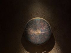 -金色春天.美颜康体纯正SPA(黄泥磅店)