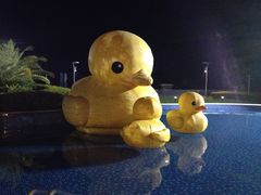 -绿城千岛湖喜来登度假酒店