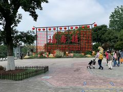 -合肥滨湖国家森林公园