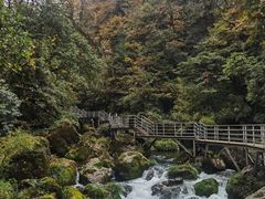 -龙苍沟森林公园