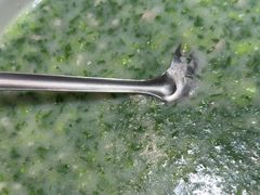 -肖记公安牛肉鱼杂馆·省级非物质文化遗产(三角路直营店)