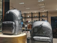 -COACH蔻驰(恒隆广场店)