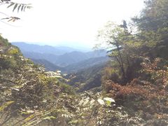 -王顺山国家森林公园
