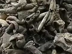 黑木耳-彭盛菜市场