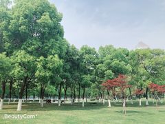 -西北湖绿化广场