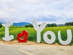 -光明小镇欢乐田园