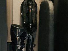 -新加坡瑞士史丹福酒店