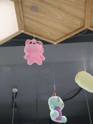-心联形象设计·流星染