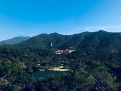 -深圳仙湖植物园-停车场
