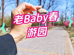 -绿堤公园