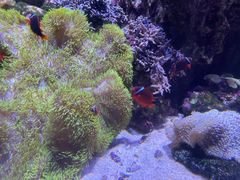 -珠海长隆海洋王国