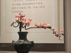-山东博物馆
