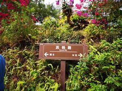 -深圳仙湖植物园