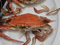 -日月昇渔家菜·海肠捞饭·大连海鲜(星海公园店)