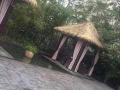 -梧桐花园餐厅(新城店)