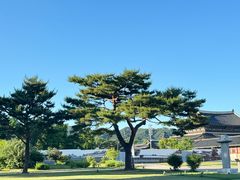 -景福宫