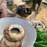 Camping Queen带我们来露营⛺️