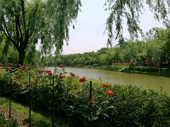 -上海鲜花港
