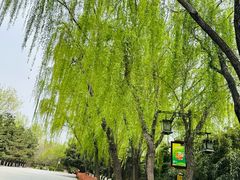 -西安汉城湖景区