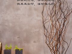 -金尚源SHANG