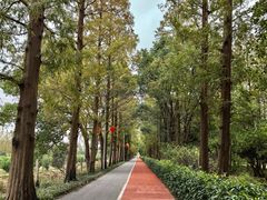 -上海长兴岛郊野公园