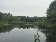 -长广溪湿地公园