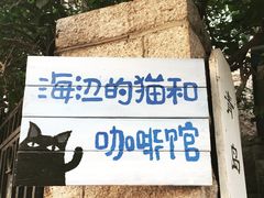 海边的猫和咖啡馆-海边的猫和咖啡馆