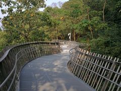 -梅峰山地公园