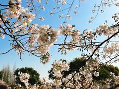 -苏州上方山国家森林公园