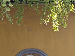 -上海青龙寺
