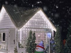 -洛阳白云山景区