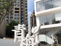 -青梅酒肆PLUS(长白仙岛北路店)