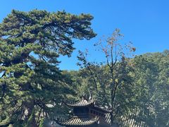 -潭柘寺景区