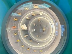 -中国湿地博物馆