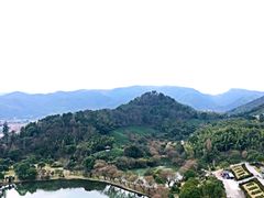 -天下玉苑