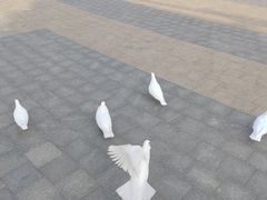 -在海一方公园