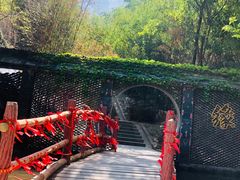 -少华山国家森林公园