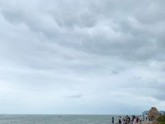 -广东惠东海龟国家级自然保护区
