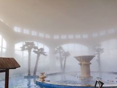 -仁爱团泊湖温泉中心