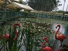 -三圣花乡旅游区