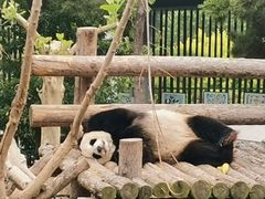 -大连森林动物园