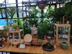 -北马山庄植趣咖啡