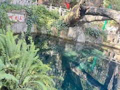 -蝴蝶泉公园