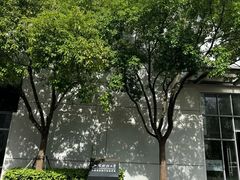 -上海财经大学(国定路校区)