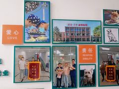 -派美特宠物医院·核磁CT·骨科肿瘤·疑难转诊(沈农禾丰店)