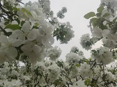 -元大都城垣遗址公园