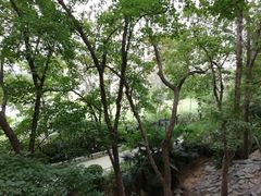 景点-紫荆山公园