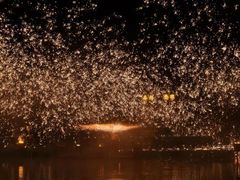 -鄂尔多斯野生动物园