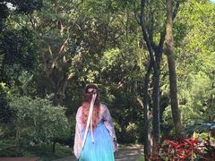 -深圳国际园林花卉博览园