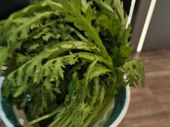 -探窝·竹笙椰子鸡(杨箕店)